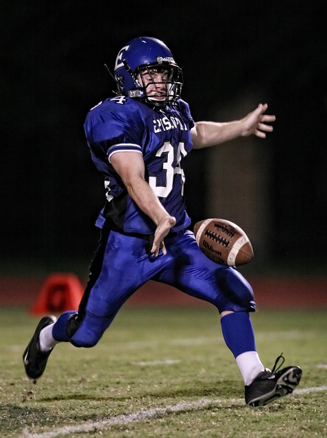 的进步显而 的进步显而