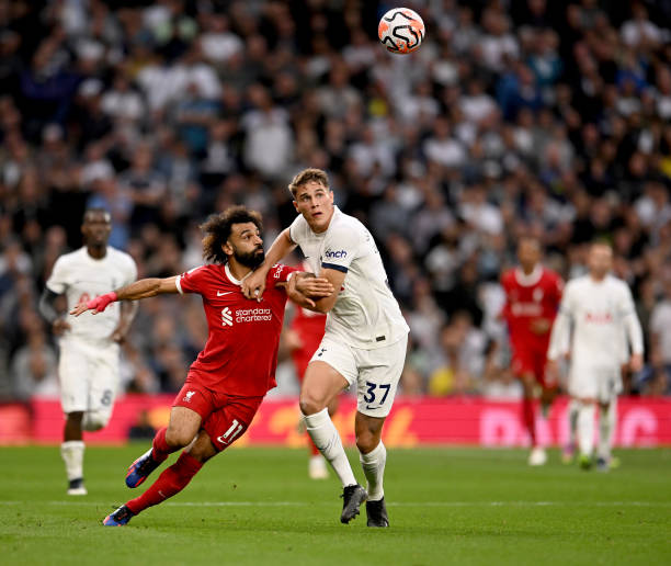 波库的崛起 波库的崛起