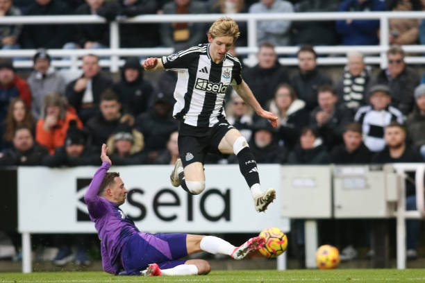 安切洛蒂 安切洛蒂